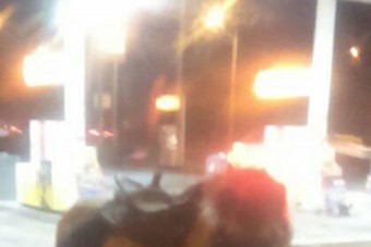 Hétfő hajnalban egészen különös látvány fogadta az autósokat egy óbudai benzinkúton