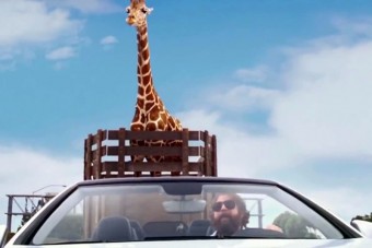 Alacsony híd, magas kamion: itt baj lesz!