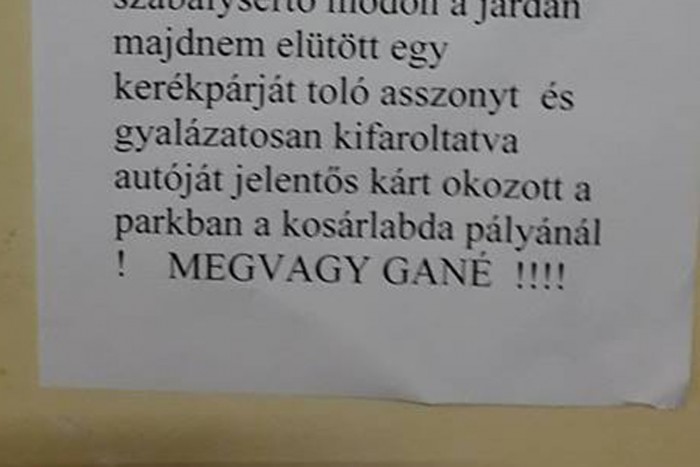 “Megvagy gané” – üzente egy dühös lakos a füvön közlekedő autósnak