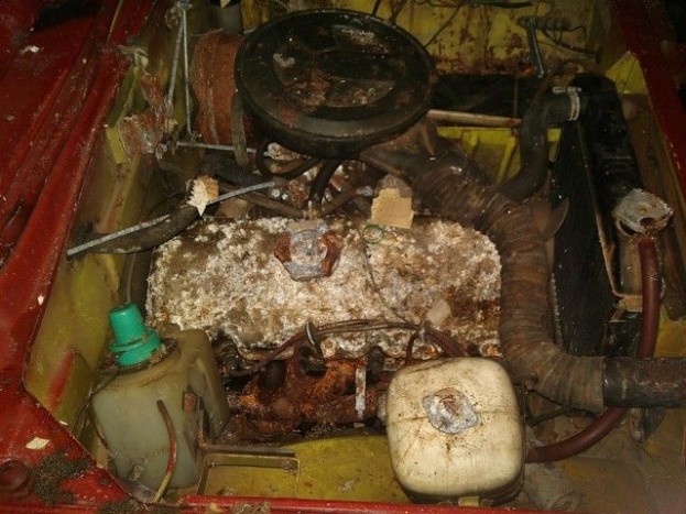 Ilyen, amikor egy elrohadt kincs rejtőzik a garázsajtó mögött