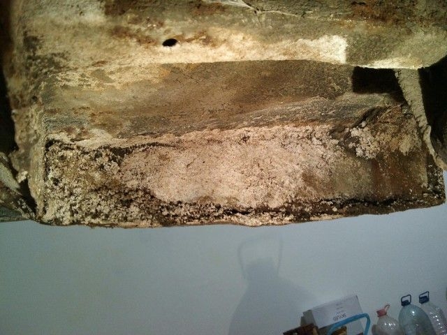 Ilyen, amikor egy elrohadt kincs rejtőzik a garázsajtó mögött 1