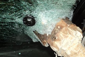 Egy komplett karácsonyfát állítottak az Audi szélvédőjébe