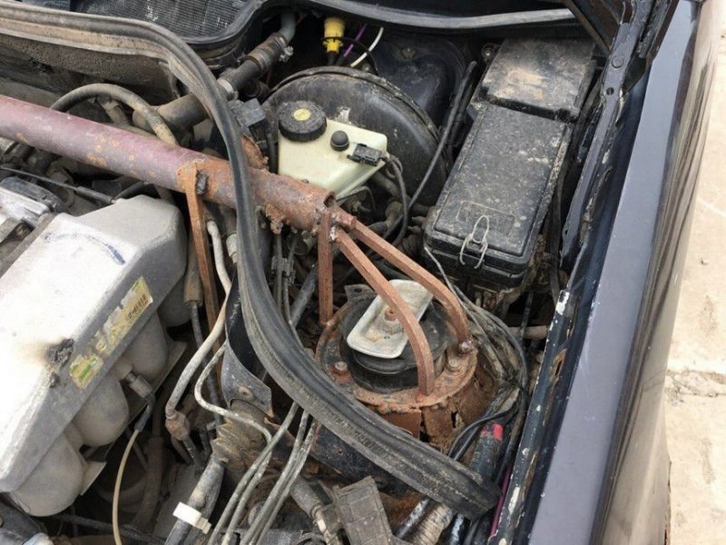 20 fotó bizonyítja, hogy az autózás világában bármi megtörténhet 19