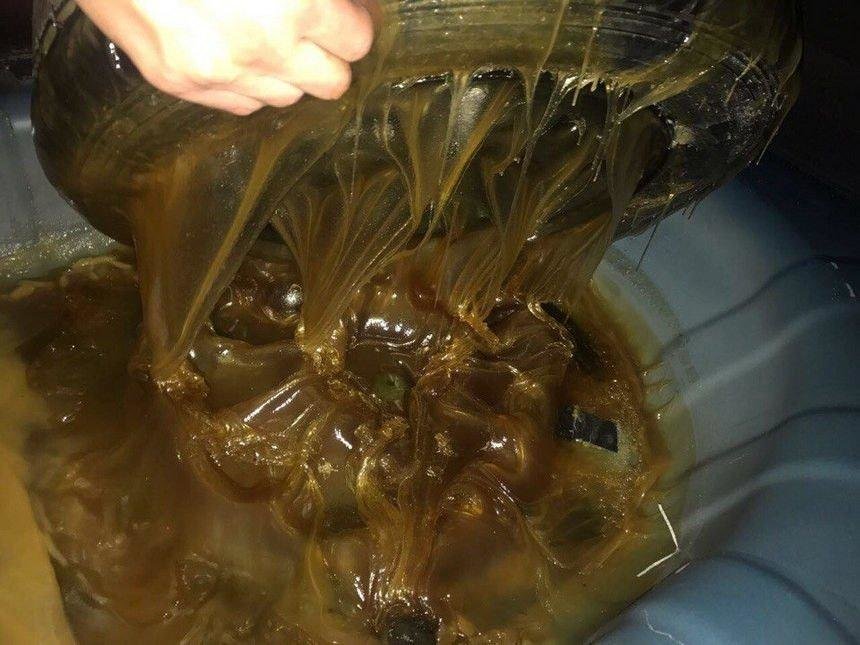 20 fotó bizonyítja, hogy az autózás világában bármi megtörténhet 20