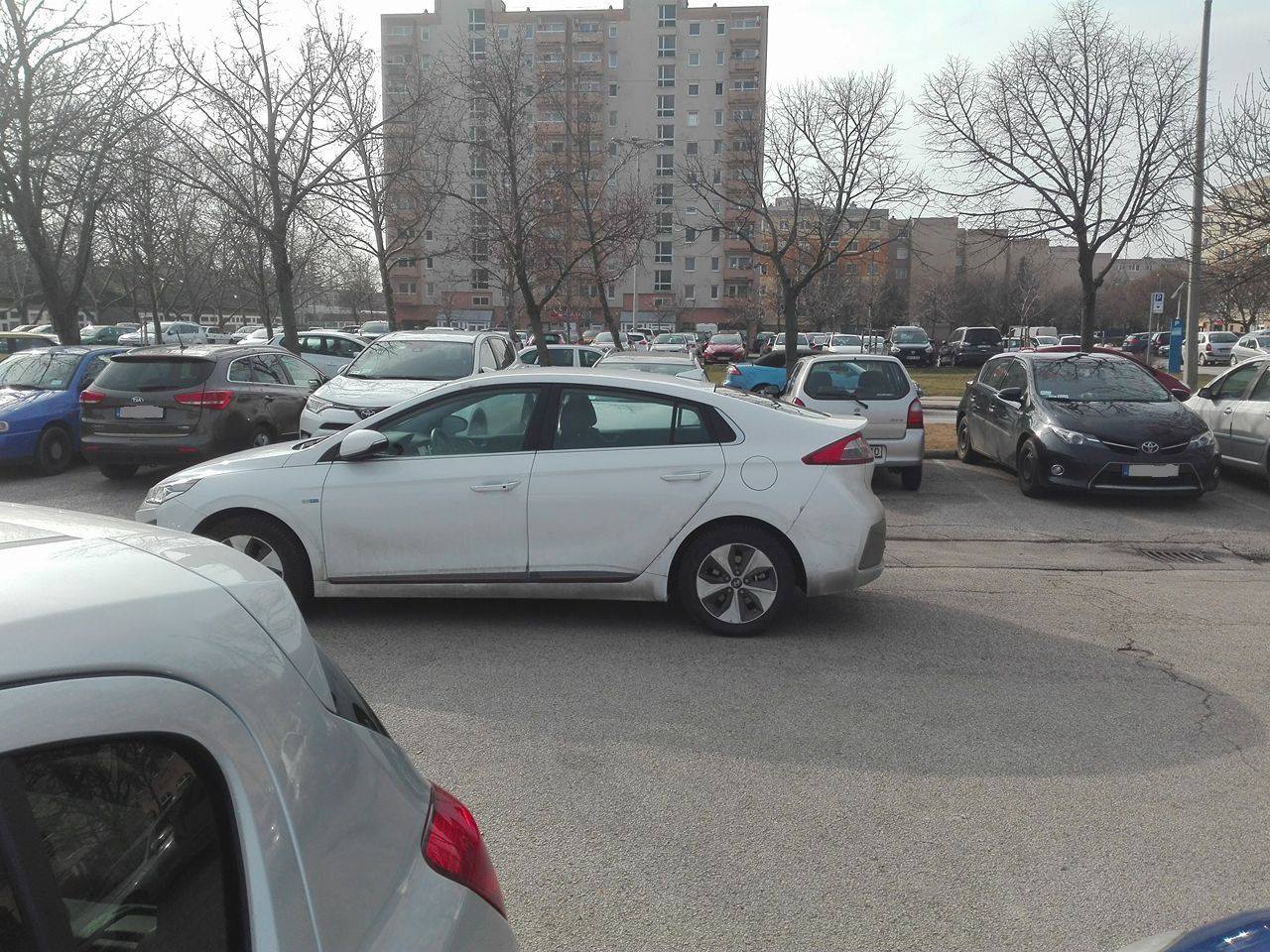 A zöld rendszámmal már bárhol meg lehet állni? 2 | Vezess A zöld rendszámmal már bárhol meg lehet állni? 2