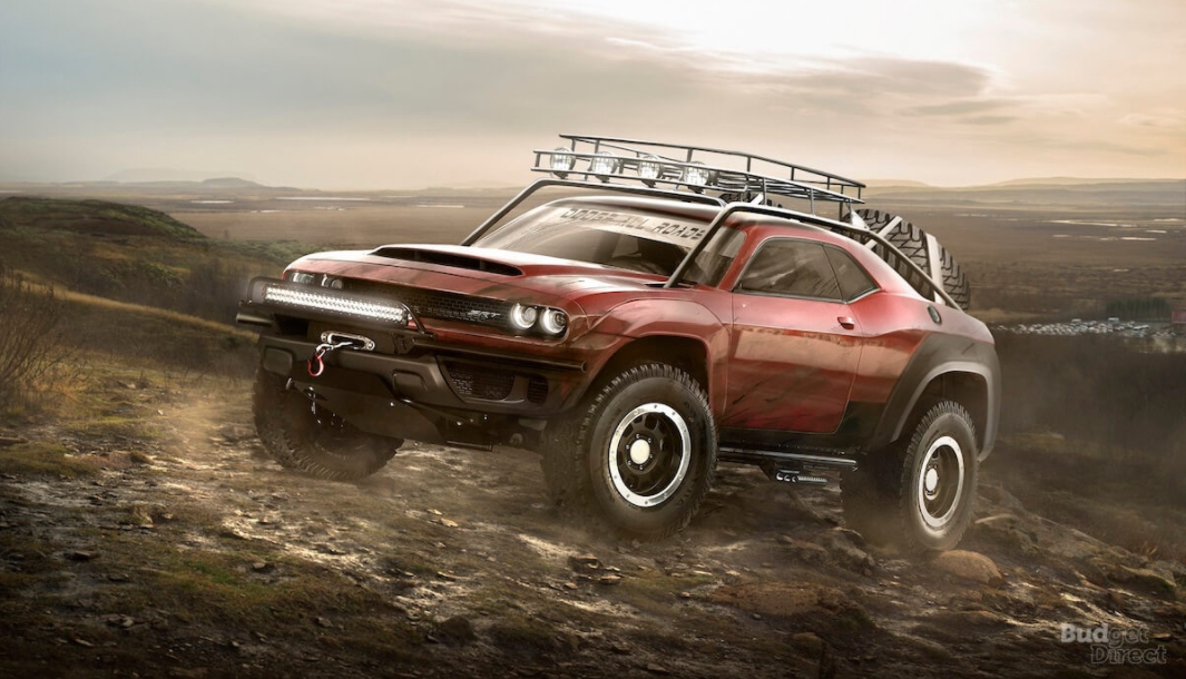 cats4 | Vezess | Vezess