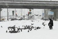 Pupillatágító fotókon az évszázad havazása Oroszországban 21 Pupillatágító fotókon az évszázad havazása Oroszországban 21