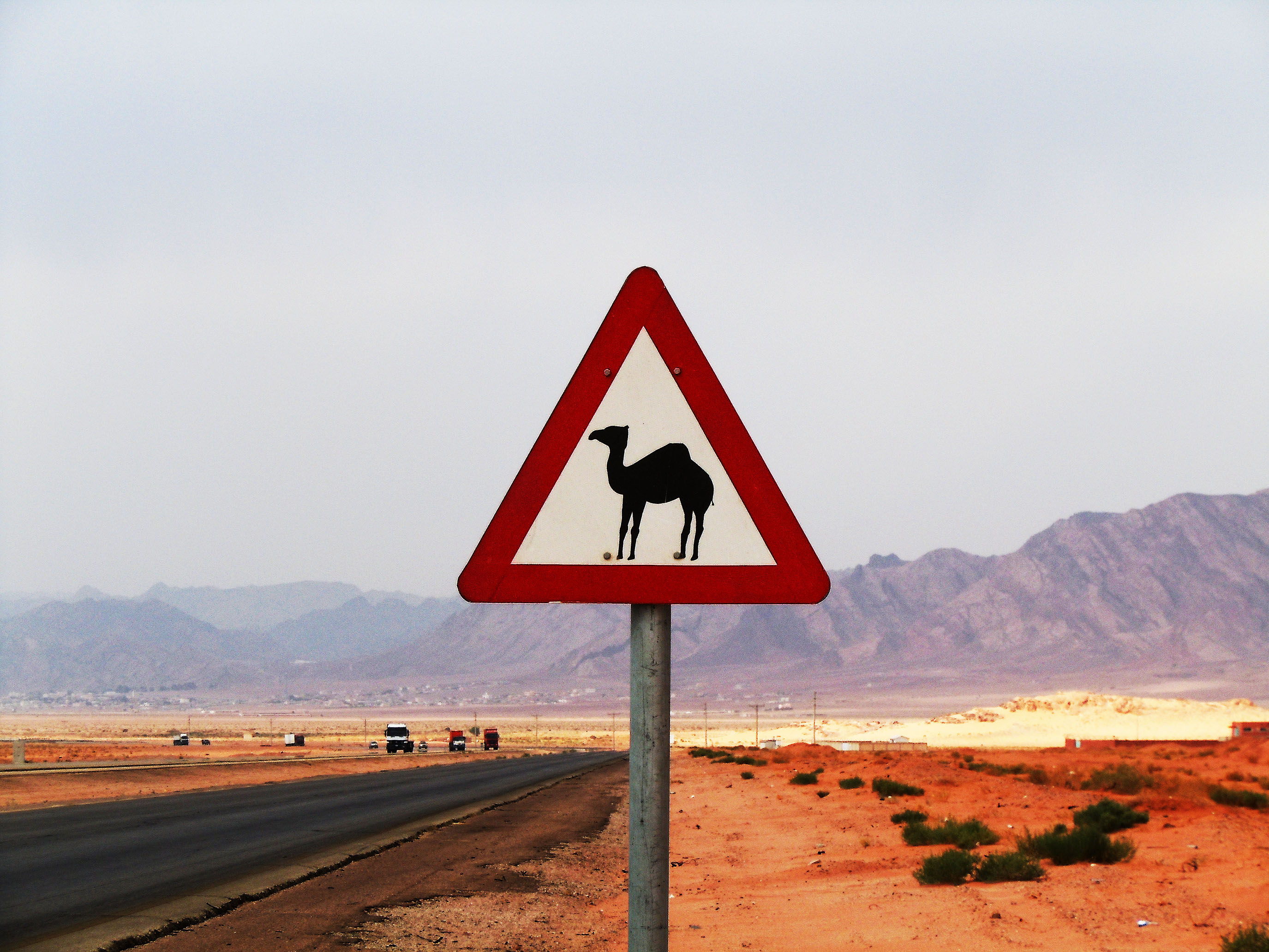 Ez a tábla valódi veszélyre figyelmeztet, nem egy utcaművész alkotása 1