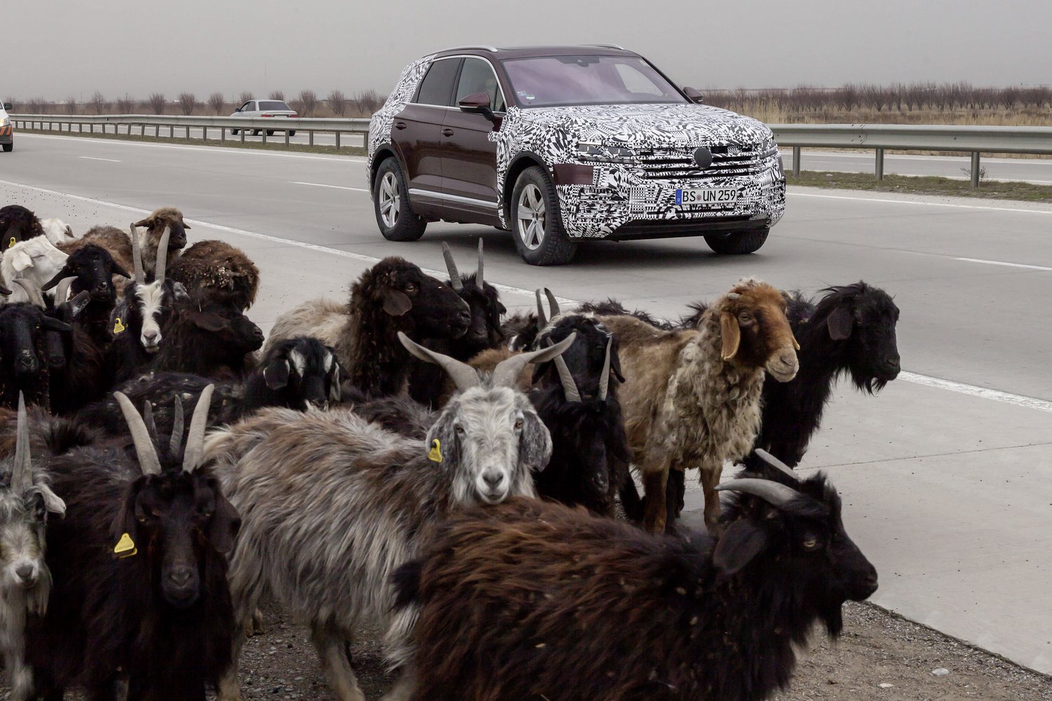 A fél világon át, lábon érkezett világpremierjére a VW Touareg 30