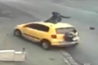 Elütöttek, majd karóval vertek meg Pilisen egy férfit