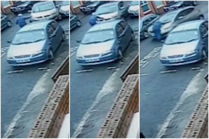 Autókat tört, mozgássérültet gázolt egy vadbarom