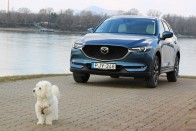 100 év Mazda szabadidő-autói 123