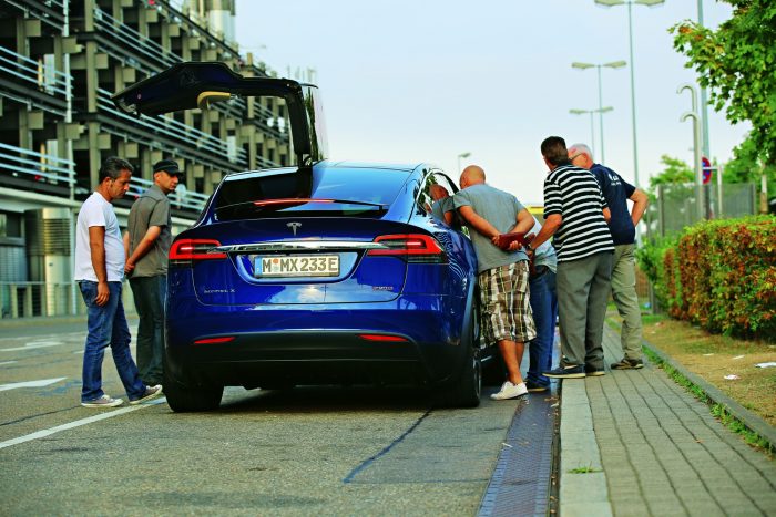 Nincs ennél gyorsabb madár 7 Csodájára járnak a szárnyas jószágnak