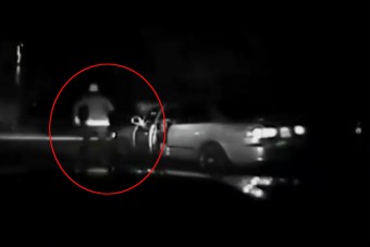 A nap hülyéje ez a tolvaj