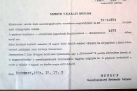 Ha unatkozol, mosómedve helyett szerezz inkább egy Trabantot 2