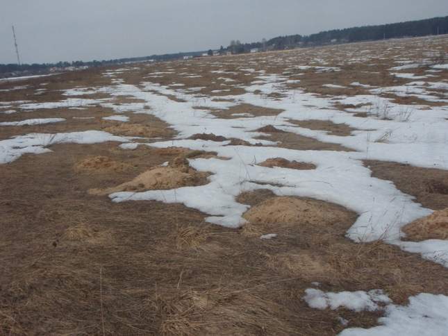 Értékes érmék helyett egy egész autót talált az orosz kincsvadász 2