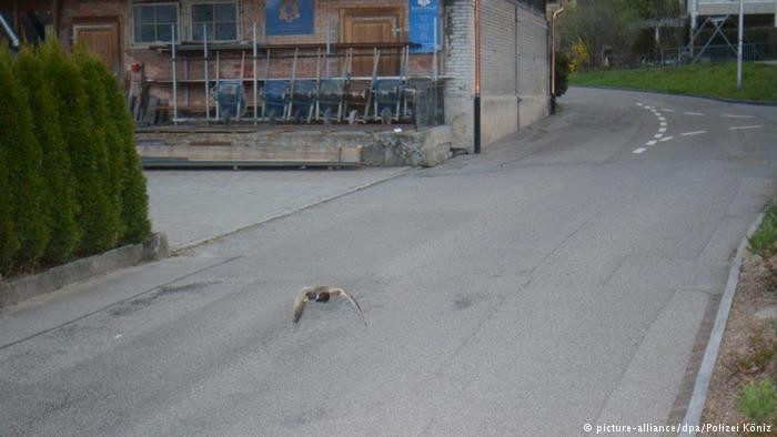Érdekes gyorshajtást fotózott egy traffipax, megúszták a büntetést 1