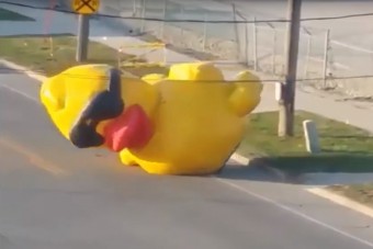 Meglepődnél, ha egy hatalmas kacsa jönne szembe az úton?
