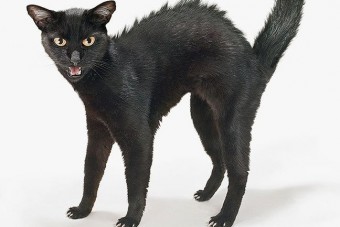 Péntek 13 - életveszélyes problémák több autónál