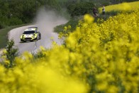 Hadik duplázott a Miskolc Rallye-n 17