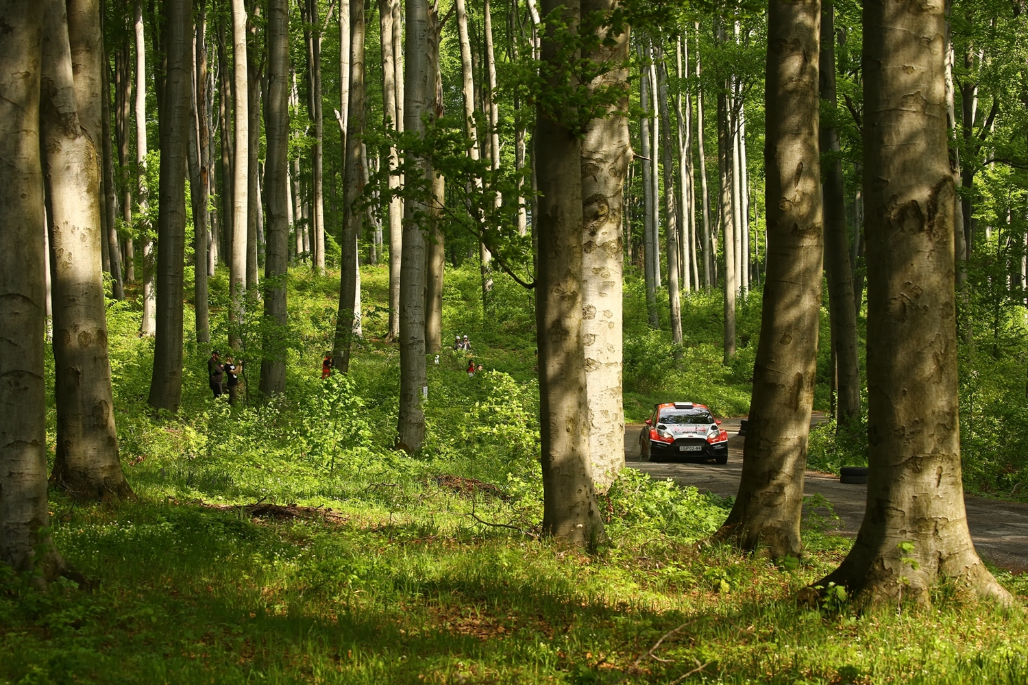 Hadik duplázott a Miskolc Rallye-n 10