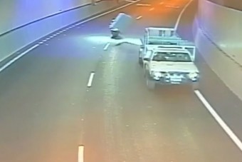 Az év mázlistája vagy az év legszerencsétlenebb embere ez a motoros?