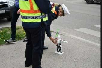 Robotzsaru kelt át egy győri zebrán, videó is készült róla