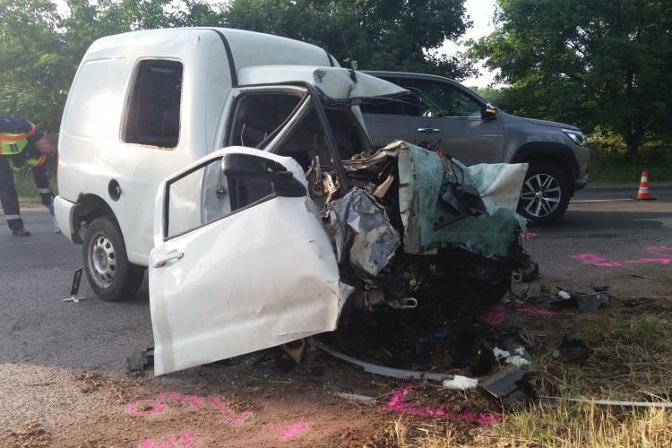 20180519_065521 | Vezess | Vezess