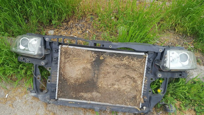 Képtelenül vicces és borzasztó alkotások a kókányolás nagymestereitől 5