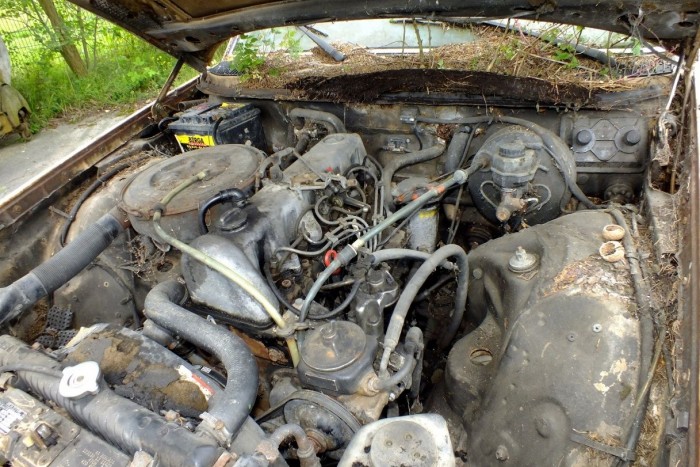 Ez az öreg Mercedes tényleg elpusztíthatatlan 7