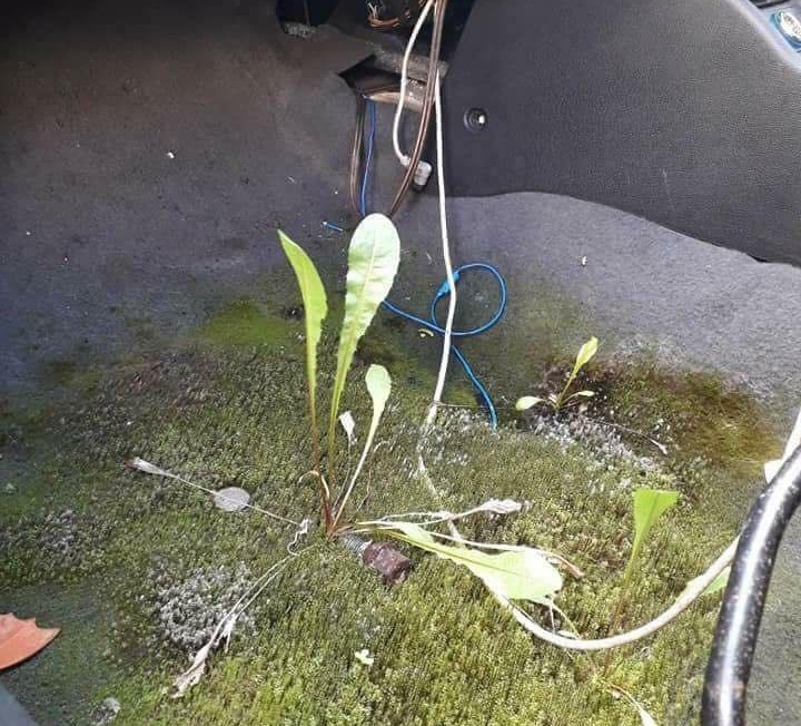 Képtelenül vicces és borzasztó alkotások a kókányolás nagymestereitől 21