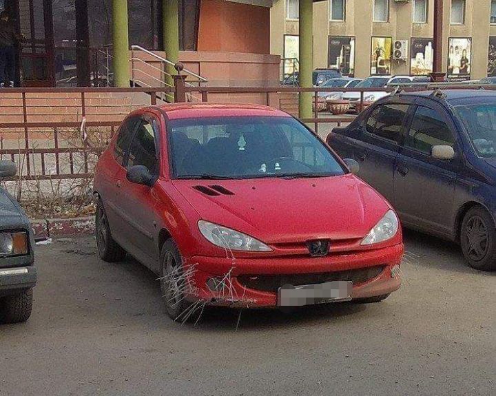 Képtelenül vicces és borzasztó alkotások a kókányolás nagymestereitől 12