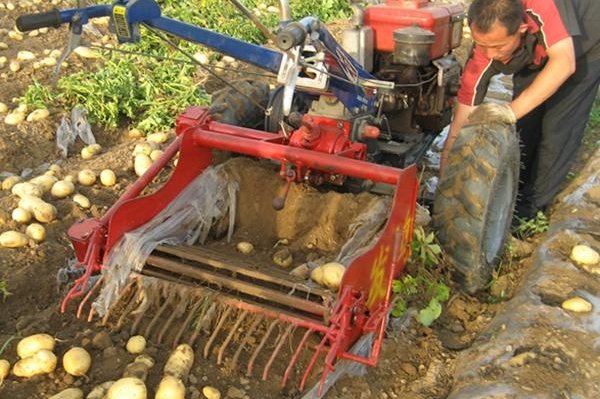 Betakarítógép ölt meg egy gazdálkodót