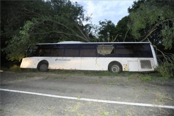 Fának rohant egy busz Zsámbéknál, 11 sérült