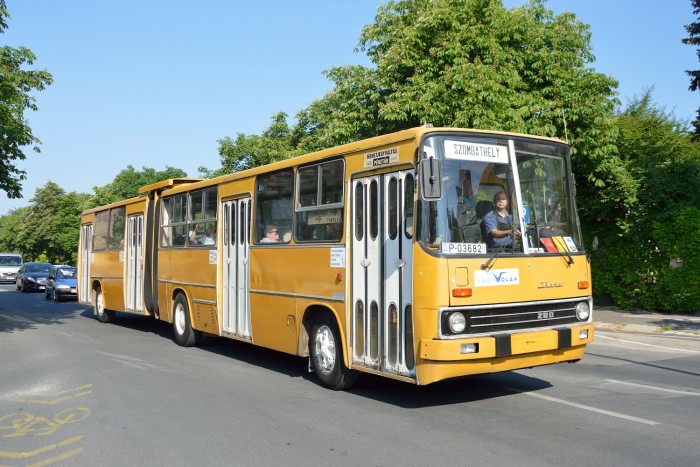 Nagyon sokan voltak kíváncsiak a ritka Ikarusokra 1 Nagyon sokan voltak kíváncsiak a ritka Ikarusokra 1