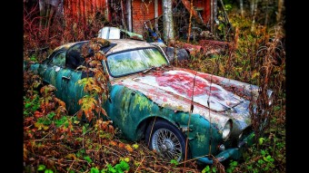 Miért hagy valaki égig érő gazban rohadni kétszáz autót?