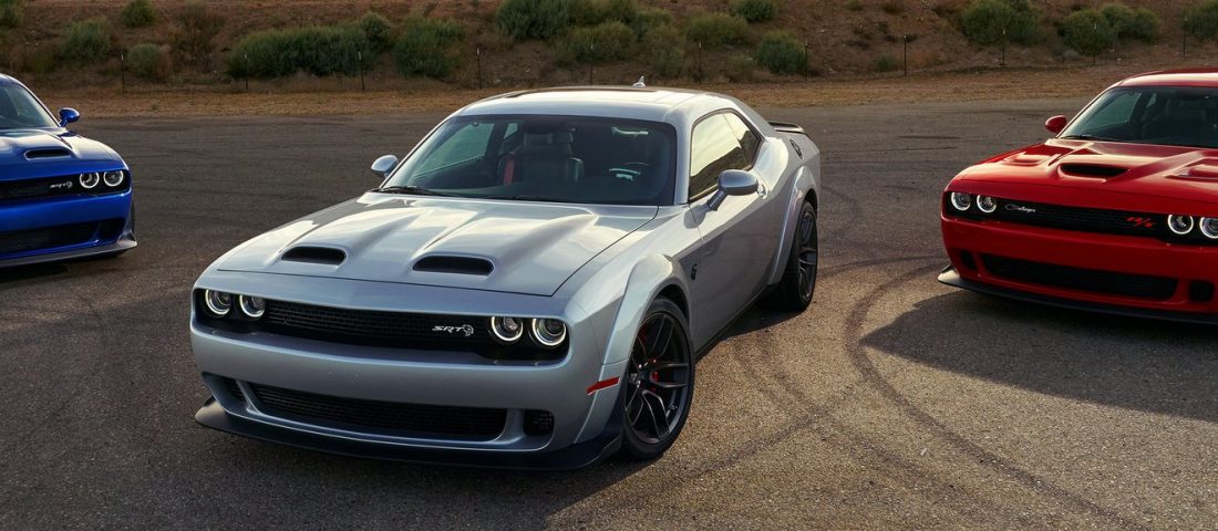 Piros szemű vérnyúl