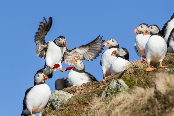 Hibrid városi kisautóval az északi sarkkörön túl 6