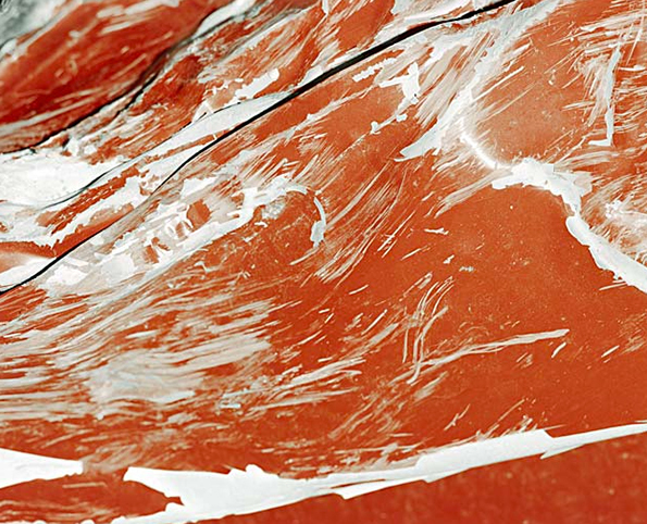 Kegyetlen autós tragédiák roncsait örökítette meg egy dán fotós 2