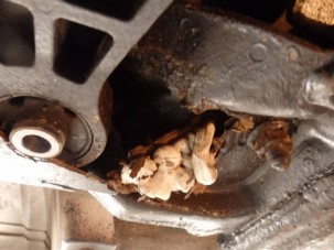 A pokoli tákolás elrettentő példája bukott ki, amikor a srácok felvágták a küszöböt