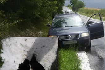 Bokáig érő, nyári havazás Telkibányánál, eszméletlen képek