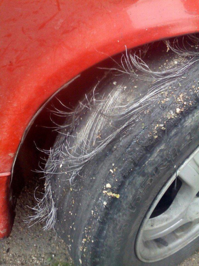 16 fotó a közveszélyes tákolás kategóriájából 10