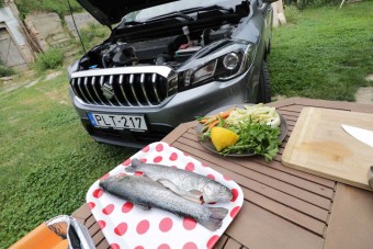 Motortérben főztünk halat, sőt meg is ettük!