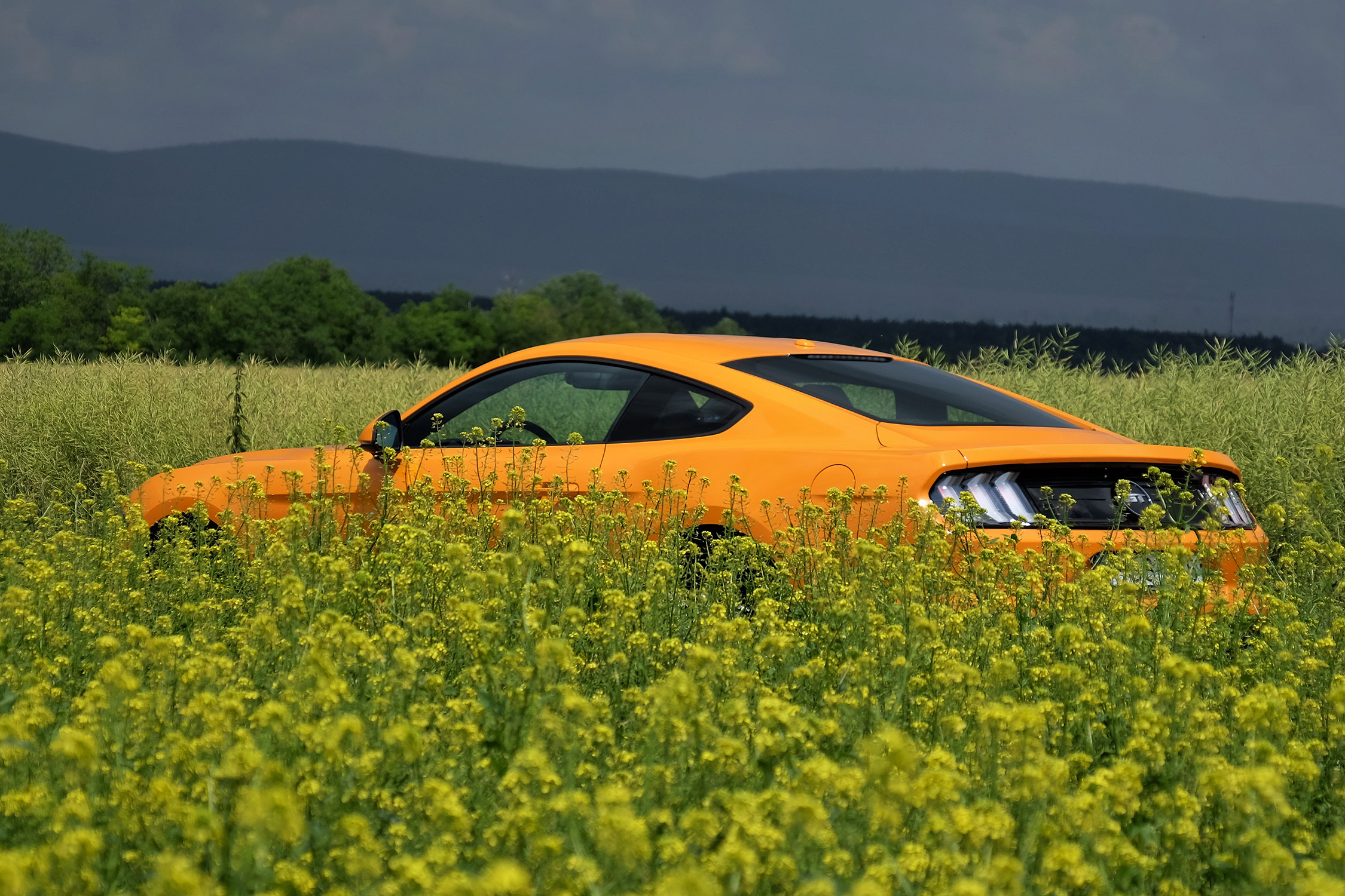 Mindenből még egy kicsit több – Ford Mustang 8