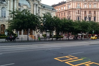 Tényleg ennyire nehéz felírni az útra, hogy BUSZ?