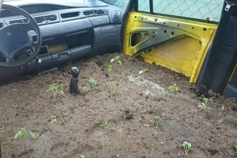 17 fotón a siralmas, vicces tákolások heti legjobbjai