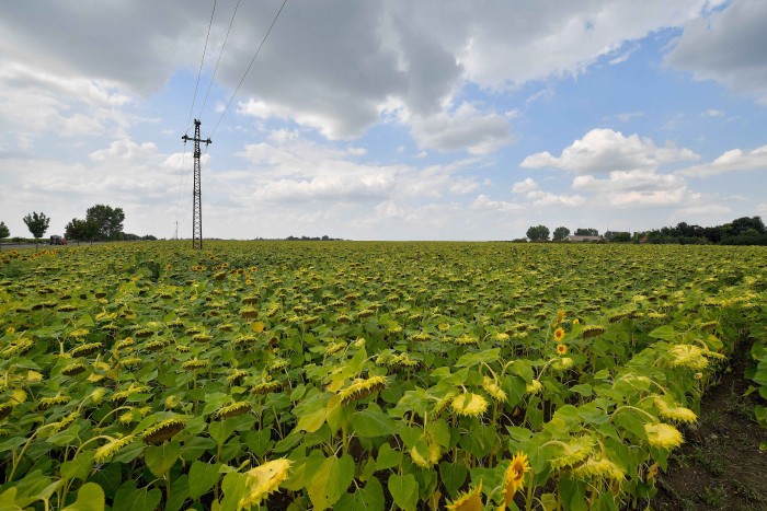 Még több év, mire elkészül az első magyar BMW