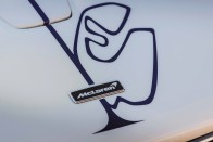 Leszállították az első McLaren Sennát. Nem is akárhogy! 17