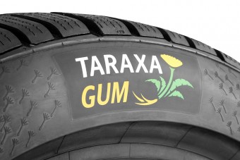 Öt év múlva jönnek a pitypangból készülő gumik