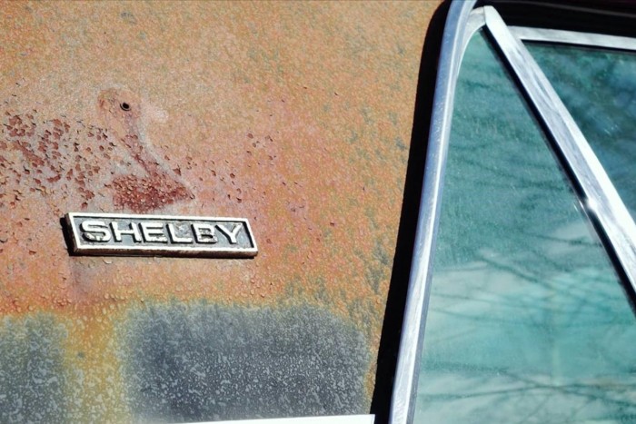 Őrületesen ritka Mustangot találtak egy mezőn